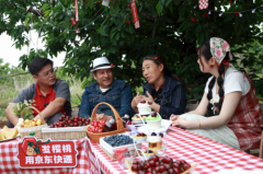 从一粒樱桃看乡村振兴：京东快递用科技赋能鲜途