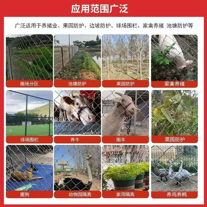 微信图片_20260808111158.jpg